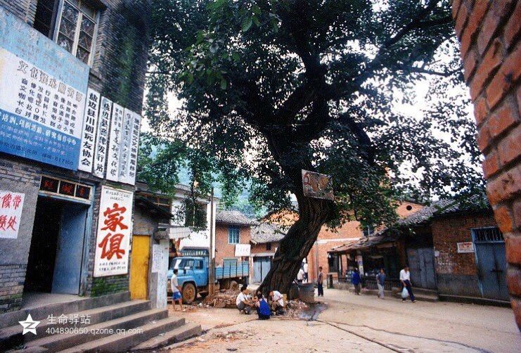 1657517779561636.jpg 2befcfa6143d49dcae9a3238ed2f3f94.jpg